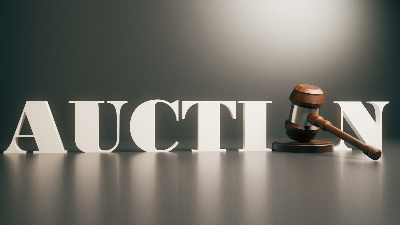 Property Auction Information preview 1